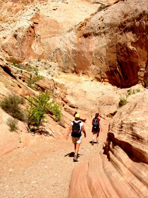 04160302LittleWildHorse (1019)